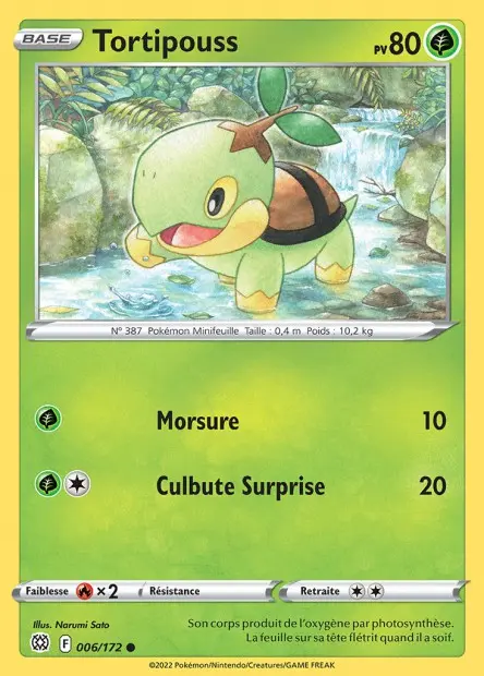 Reverse Tortipouss 006/172 F