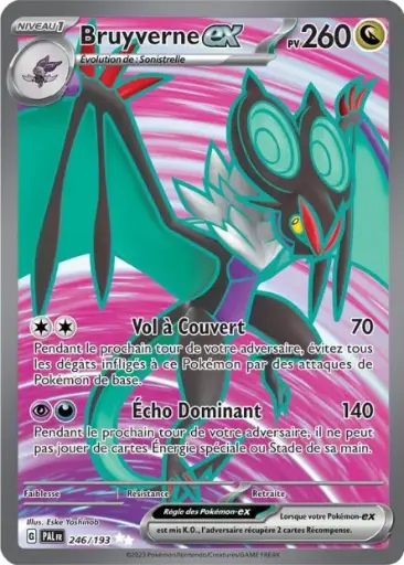 Bruyverne 246/193 Full Art