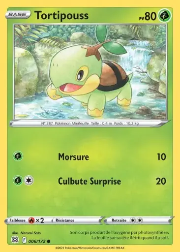 Reverse Tortipouss 006/172 F